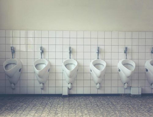 How To Choose The Right Toilet